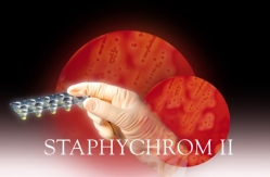 Staphychrom