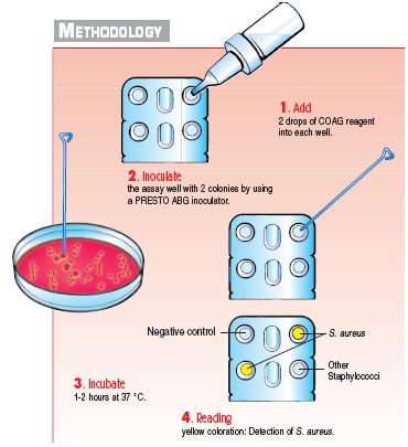 Mycoscreen Methodology