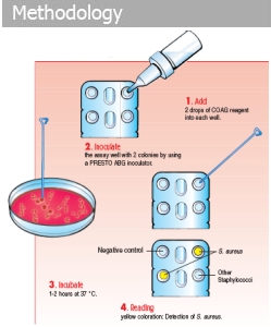 Staphychrom Method for rapid detection of Staphylococci species